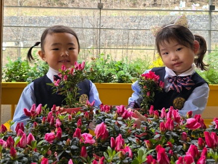 꼬마 손정원사 베토벤반 친구들이 아젤리아 꽃을 심었어요!